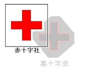 赤十字を影で支える黒十字会の図