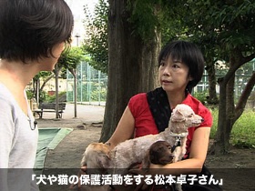 犬や猫の保護活動をする松本卓子さん