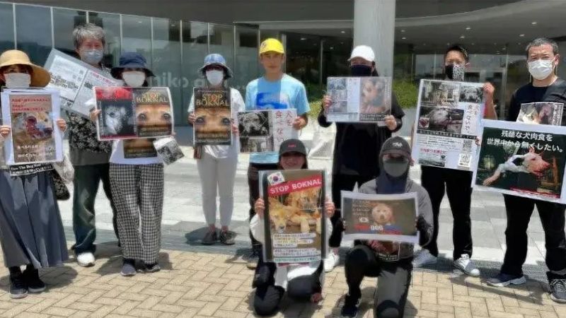 韓国犬肉廃止の決定を求める抗議活動